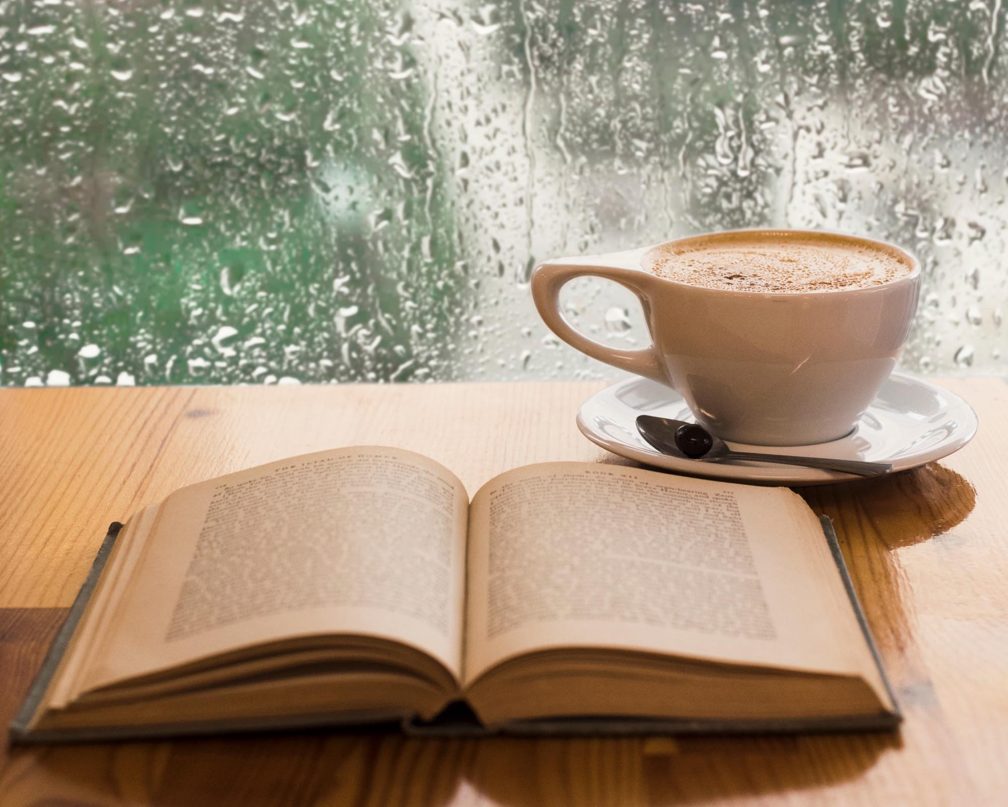 ¿Qué leer en vacaciones de invierno?