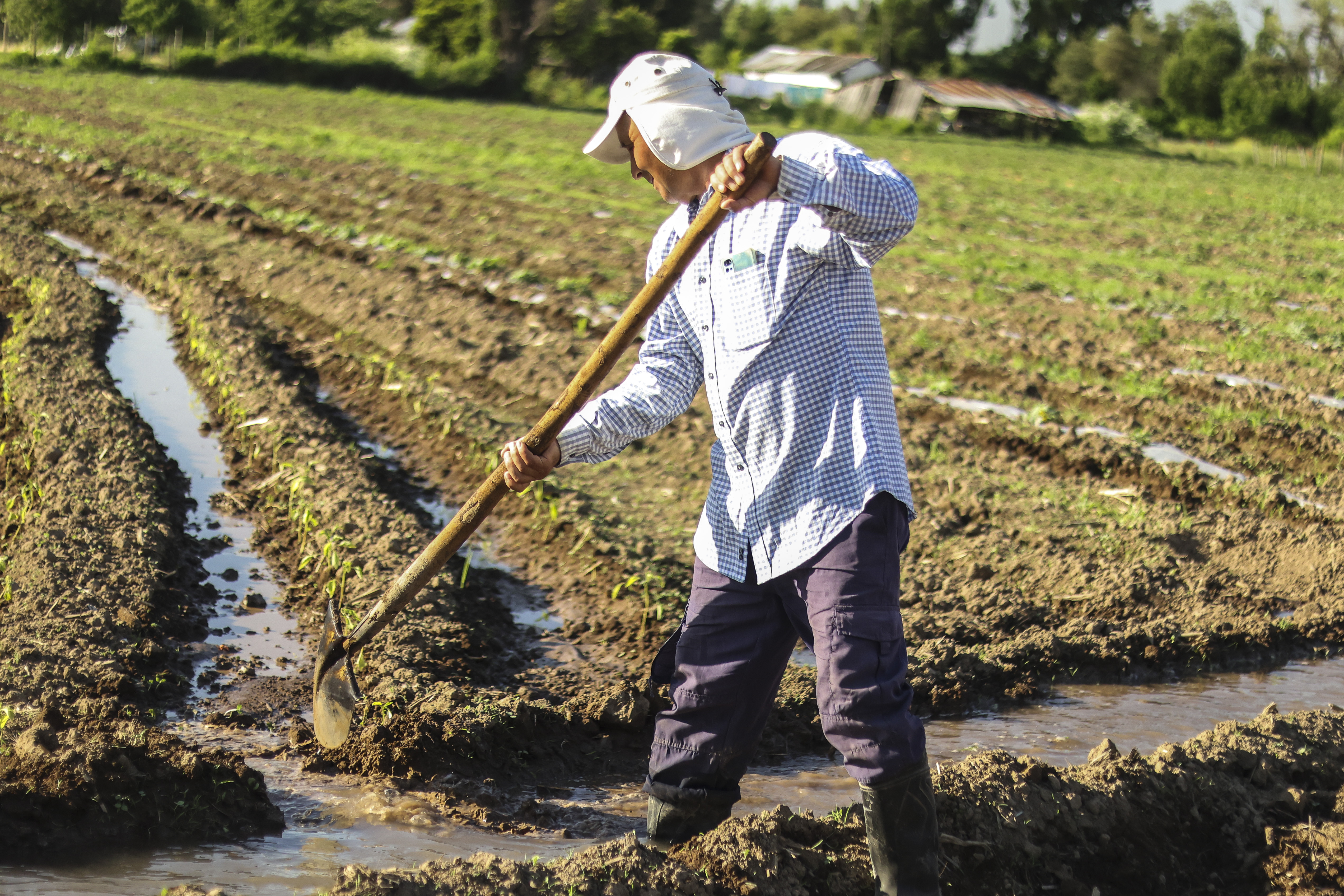 Al menos 29 mil agricultores familiares tienen derechos de agua otorgados por la autoridad, comprados y/o heredados