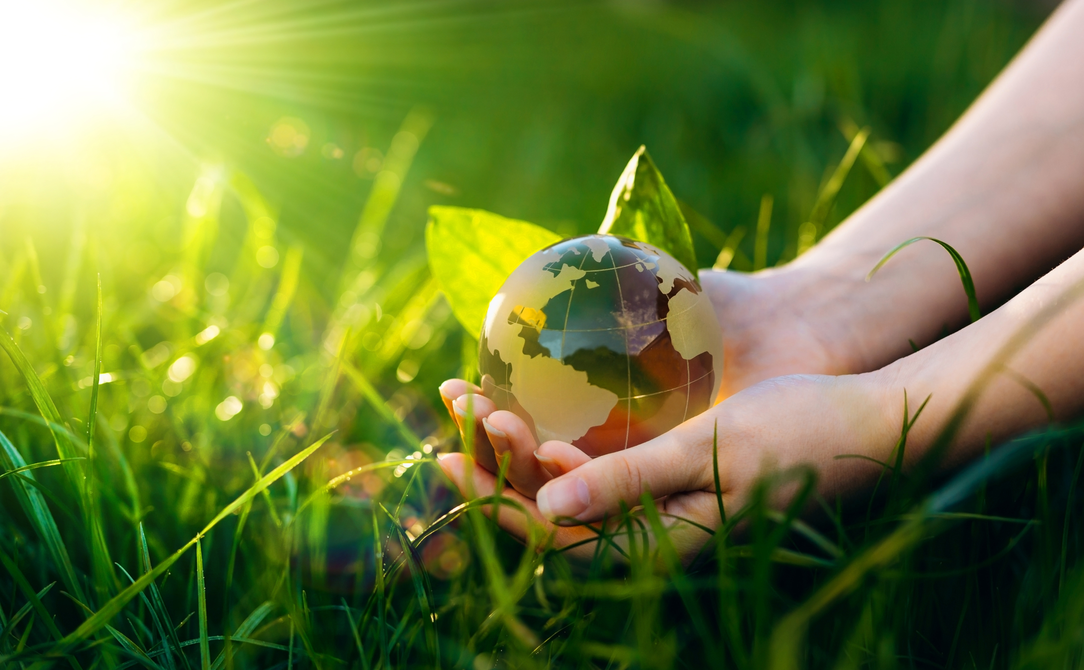 Académico de la UCM realizará pasantía en prestigioso centro europeo para evaluar impacto ambiental de bioproductos