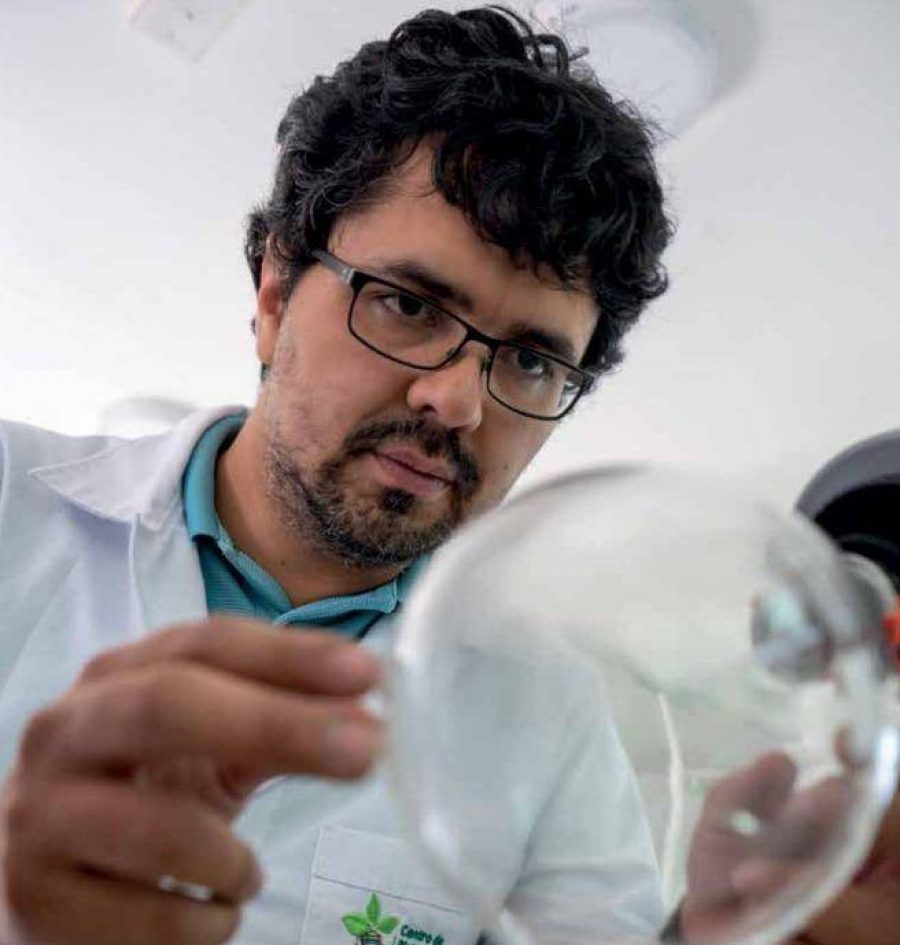 Bioplástico antimicrobiano busca reducir las pérdidas en la exportación de fruta con un innovador empaque