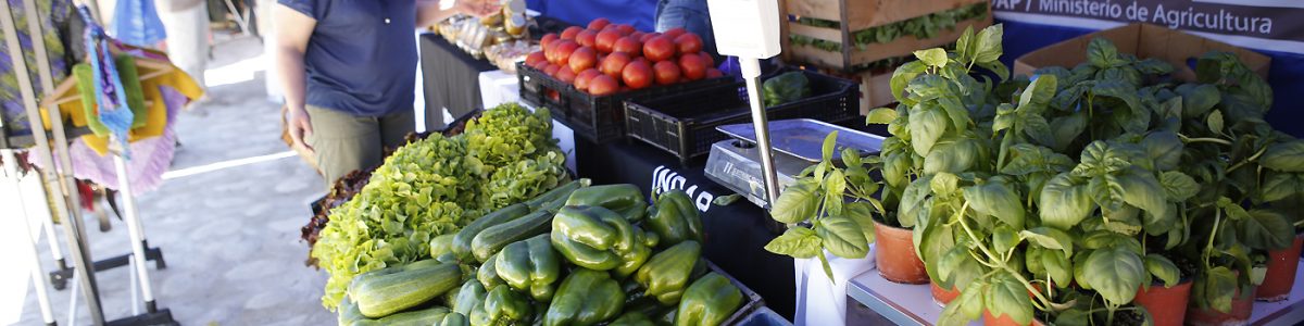 Abierto al público Mundo ArteAgro en Talca