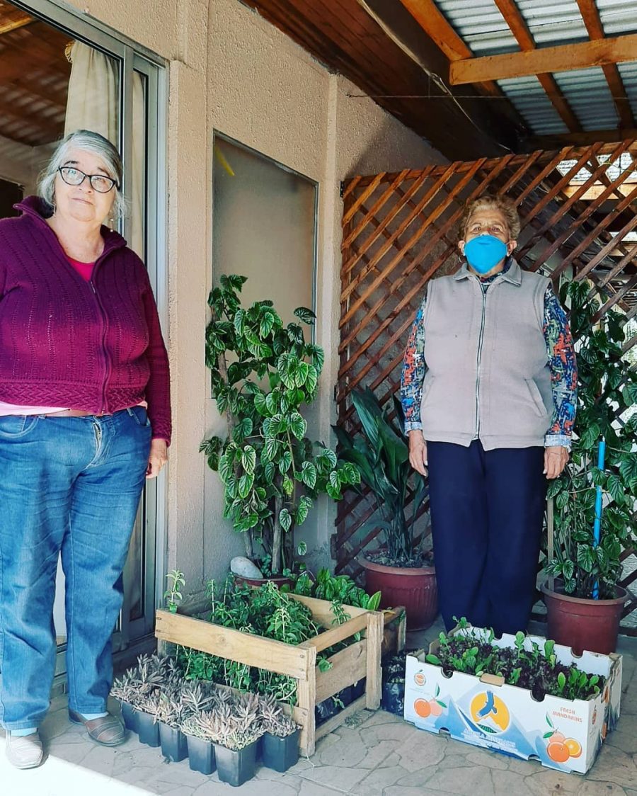 CIIS UCM impulsa la ruta “Huertas orgánicas” en la comuna de San Clemente