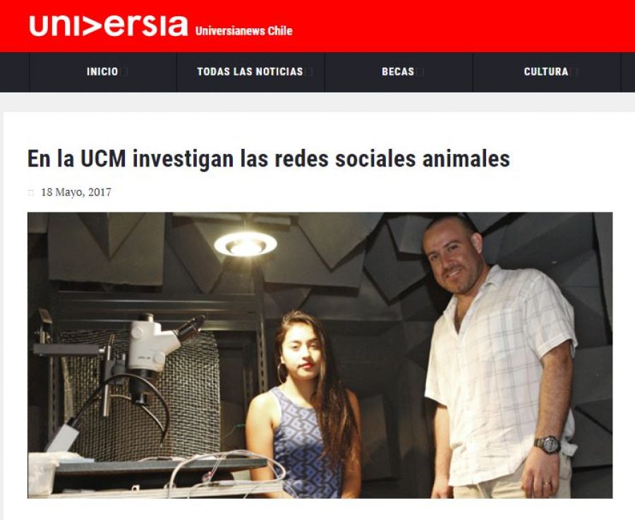 18 de mayo en Universia: “En la UCM investigan las redes sociales animales”