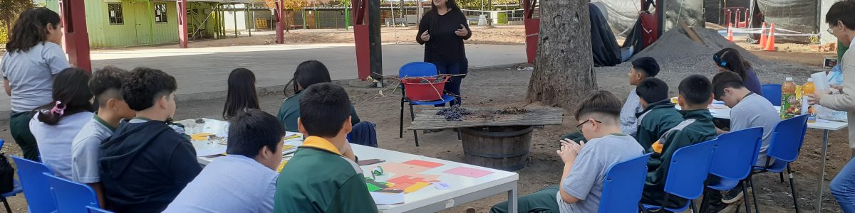 Día de los Patrimonios: Una mirada desde el arte, la educación y la eco-culturalidad