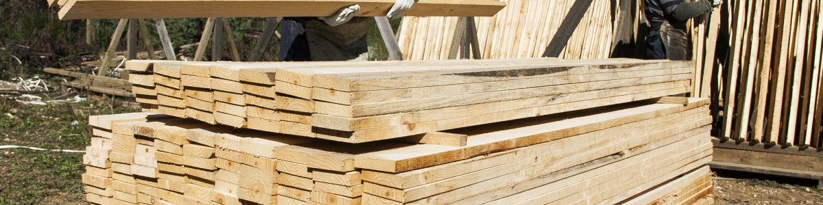 Estudio definirá continuidad de la industria maderera en Constitución