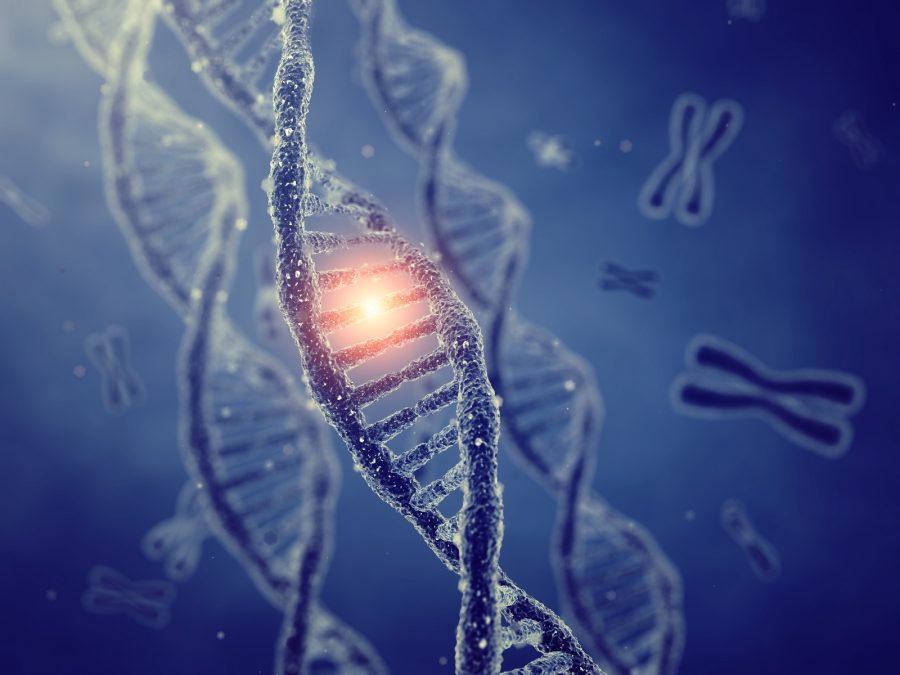Diplomado en Asesoramiento Genético Oncológico UCM ayudará a identificar el síndrome de cáncer familiar