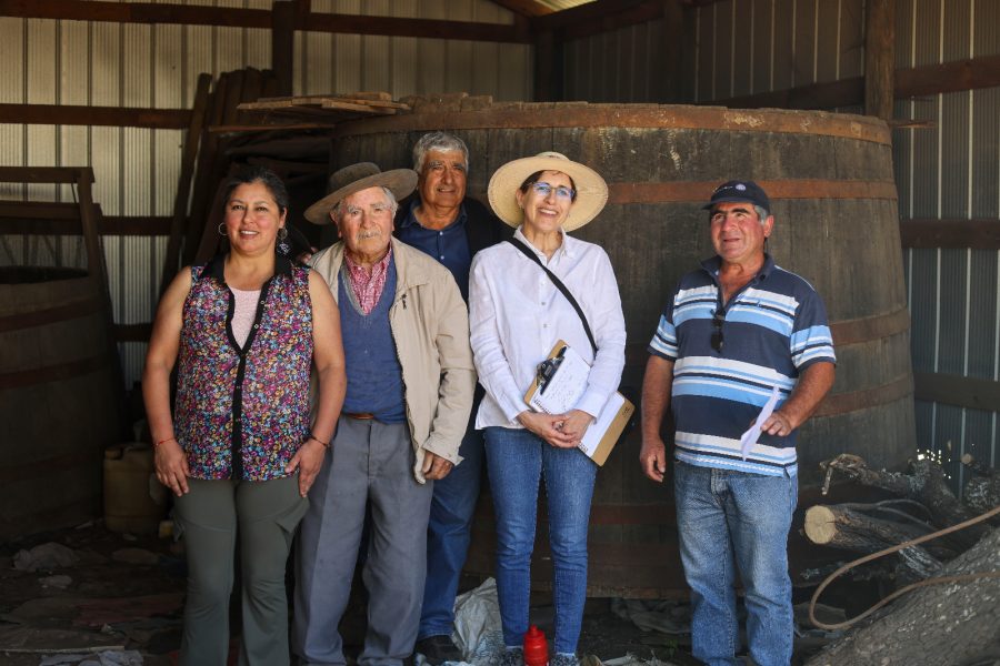Patrimonio vitivinícola de Cauquenes: Iglesia San Alfonso, antiguos y nuevos viticultores del secano