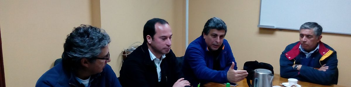 Académicos UCM colaboran con plan de recuperación del Maule post incendios forestales