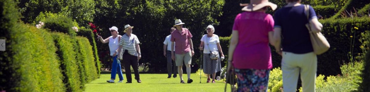 Adultos mayores deben extremar los cuidados en salud durante el verano