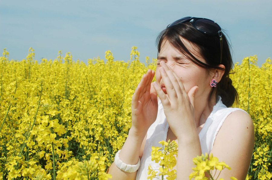 Sepa cómo llevarse mejor con las alergias primaverales