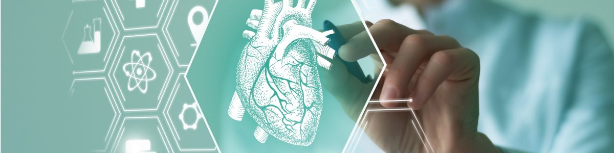 Anatomía Clínica de Arterias Coronarias e Inteligencia Artificial, la nueva tendencia en investigación UCM
