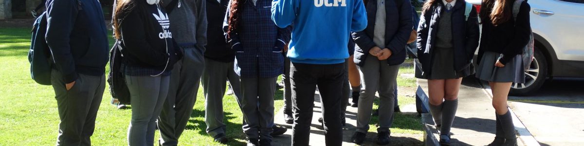 Columna de opinión: Apoyo en el proceso de postulación
