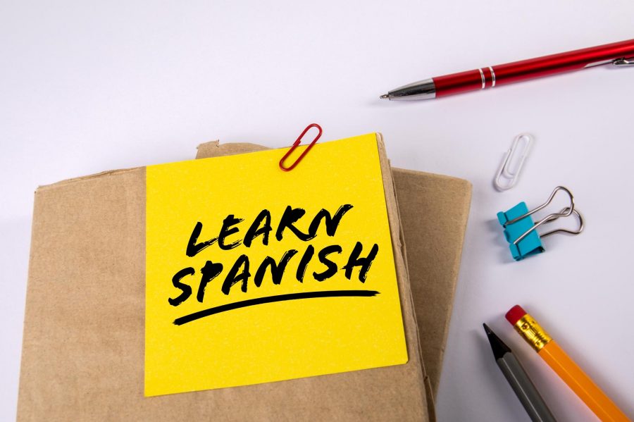 Opinión: “Nuevos desafíos educativos: enseñanza – aprendizaje del español como L2/LE”