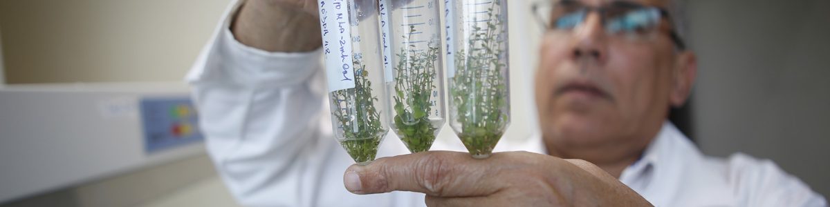 UCM se suma al Festival de la Ciencia online regional