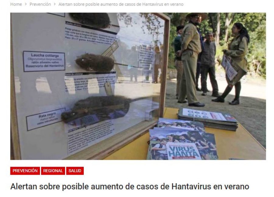 11 de enero en Atentos: “Alertan sobre posible aumento de casos de Hantavirus en verano”
