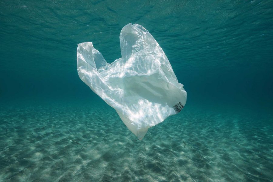 Opinión: “Ley 21.100 sobre bolsas plásticas: “Todavía hay mucho por hacer”