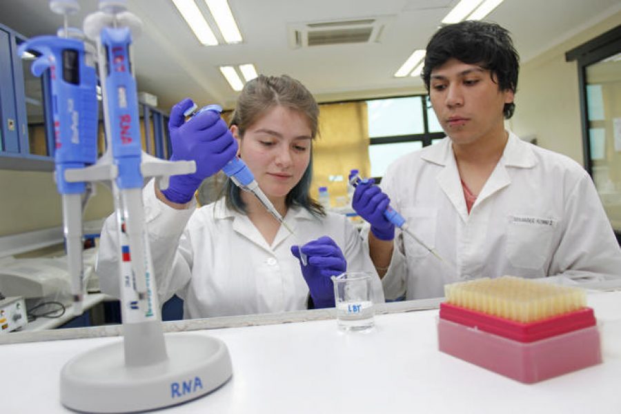 Ingeniería en Biotecnología UCM recibió certificación por cinco años