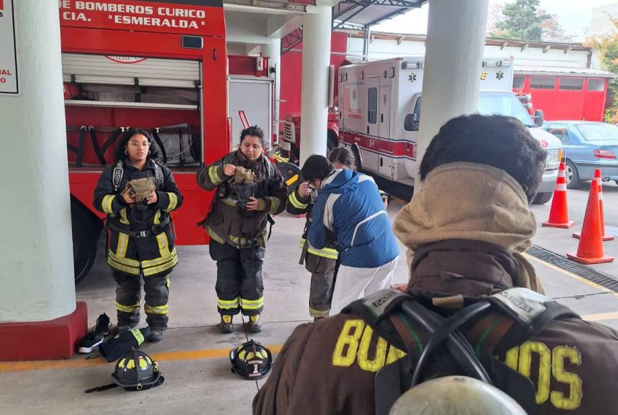 Visita pedagógica a la Compañía de Bomberos de Curicó