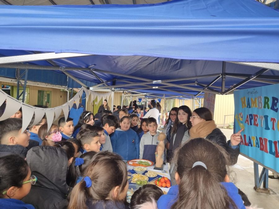 Estudiantes de Pedagogía proponen “Feria del Buen Vivir” para promover hábitos de alimentación saludables
