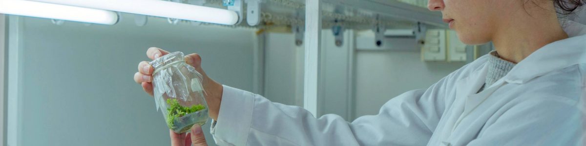 Proyecto Colmena: UCM organiza seminario de Ciencia Abierta en Talca y Curicó
