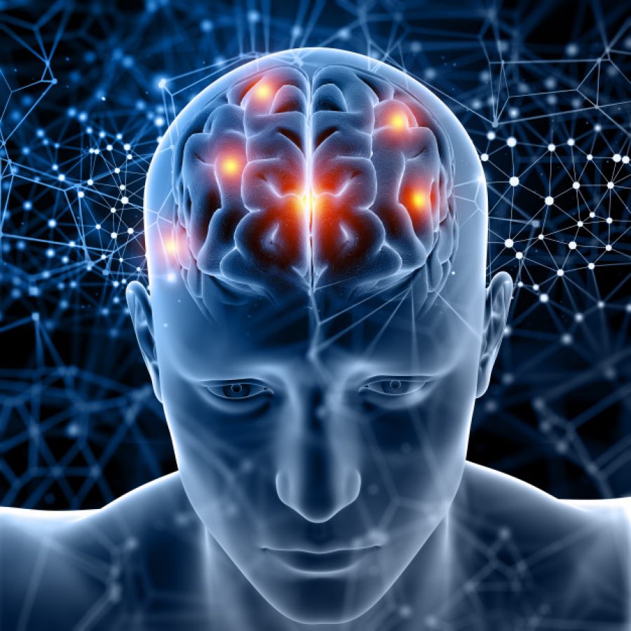 Investigación de CINPSI y Universidad de Bolonia busca reducir el miedo asociado a un recuerdo con la estimulación cerebral