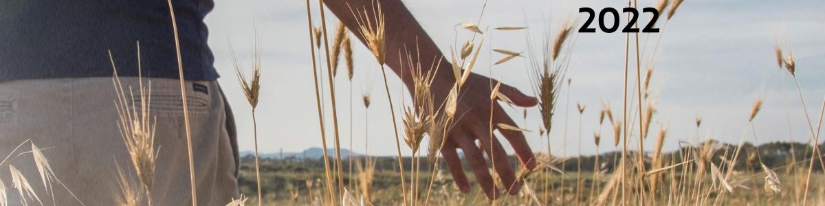 Sé parte del Campamento de Verano 2022 de la Pastoral UCM