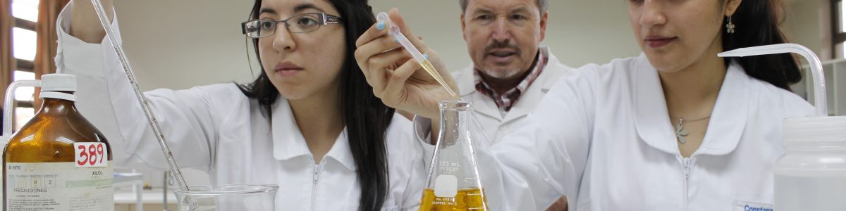 Visita de pares destacaron formación por competencias de Pedagogía en Ciencias con mención
