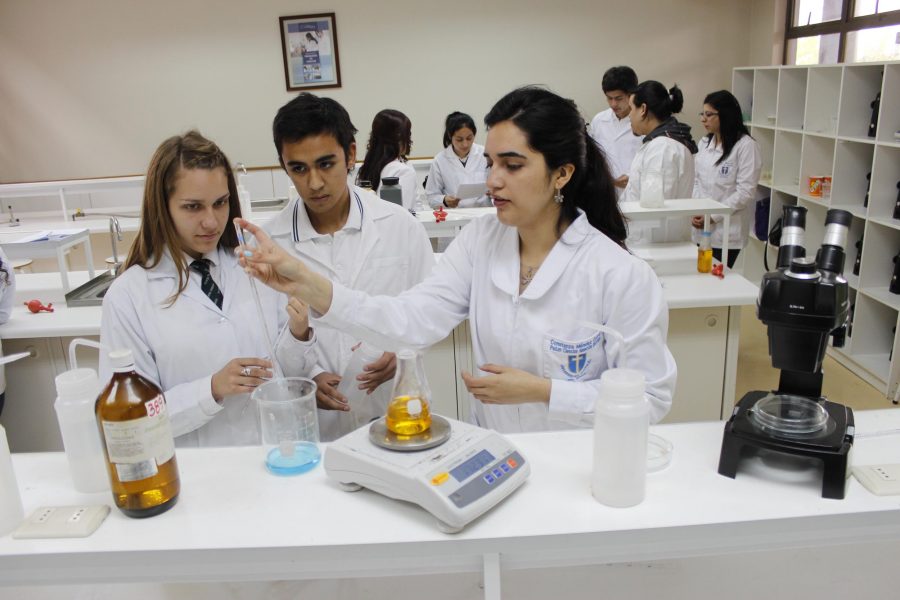 Académicos Reflexionan Sobre la Enseñanza y Aprendizaje en Ciencias