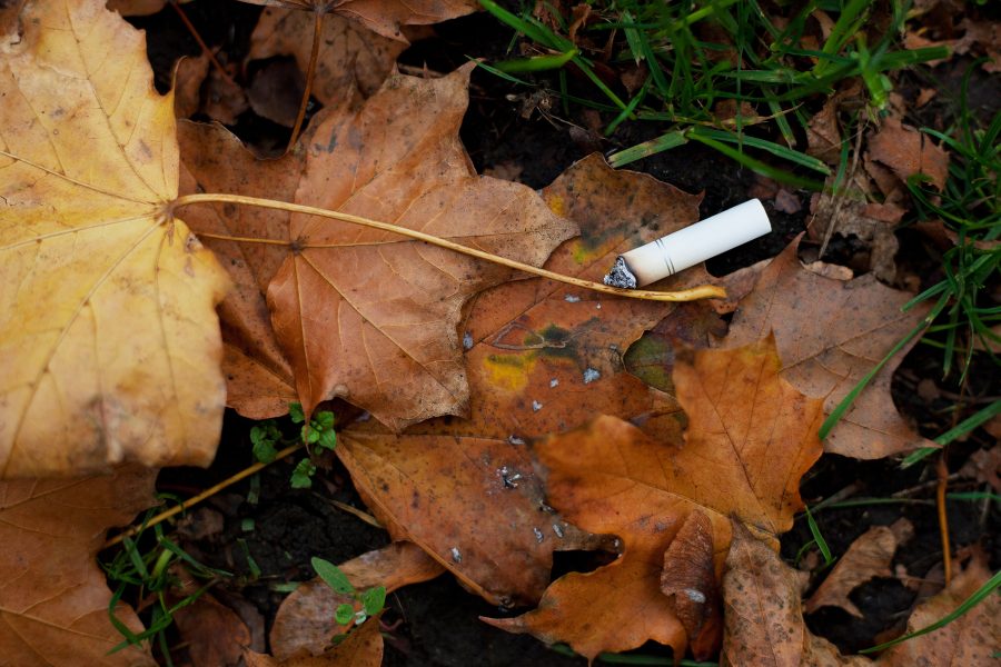 Recalcan el negativo impacto que generan las colillas de cigarro en el medioambiente