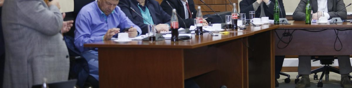 Concejo municipal apoya la construcción de Centro Regional Oncológico en Talca