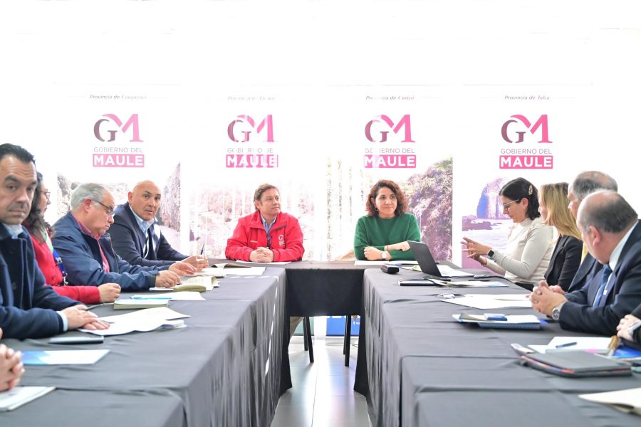 Maule lidera con la creación del primer Consejo Estratégico Regional de Desarrollo Sostenible en Chile