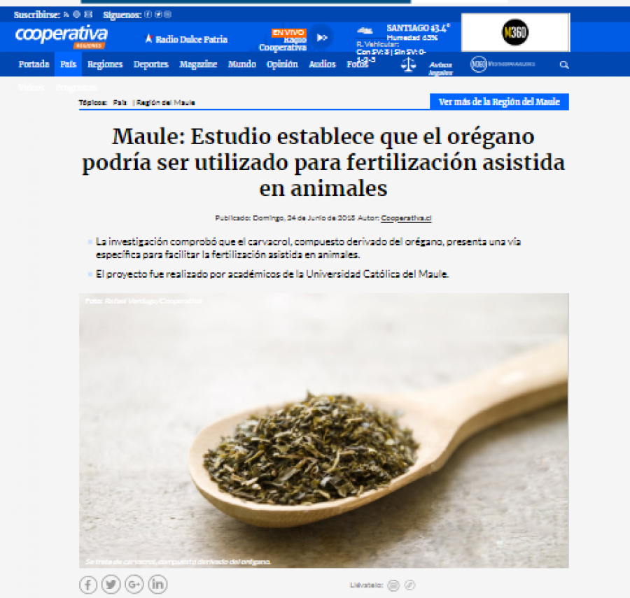 24 de junio en Cooperativa: “Maule: Estudio establece que el orégano podría ser utilizado para fertilización asistida en animales”