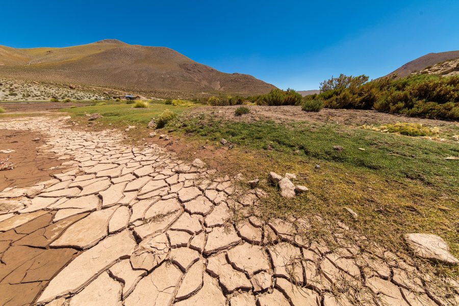 Columna de opinión: Crisis hídrica en Chile, una mirada agroecológica