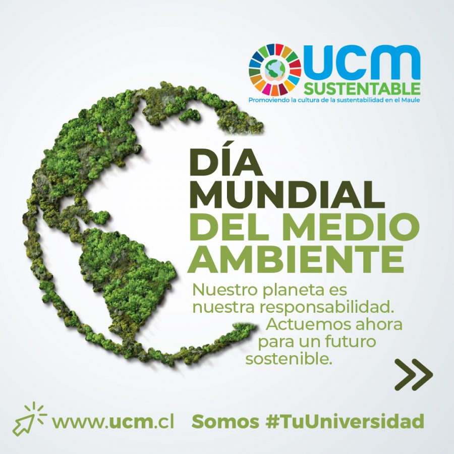 UCM Sustentable entrega reflexiones en el Día Mundial del Medio Ambiente