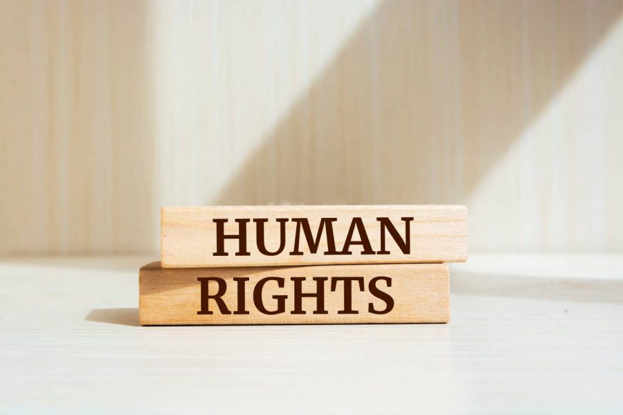 Opinión: “75 años de la Declaración Universal de los Derechos Humanos”
