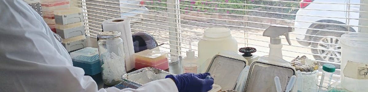 Investigadoras fortalecen el desarrollo científico de la histopatología marina en Chile