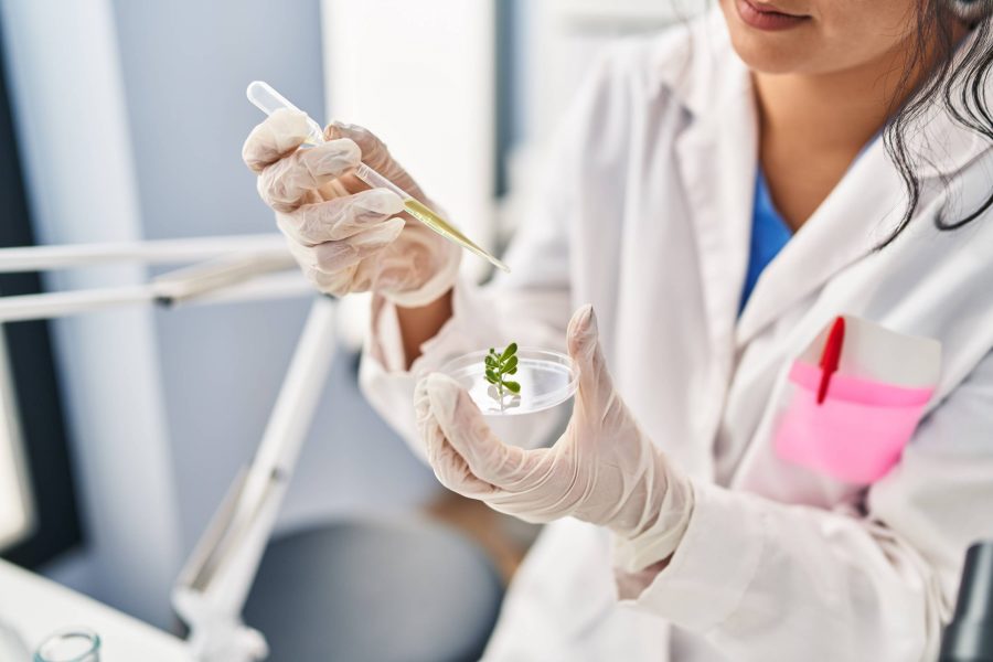 Columna: “Doctorado en Biotecnología Traslacional UCM genera ciencia con impacto local”