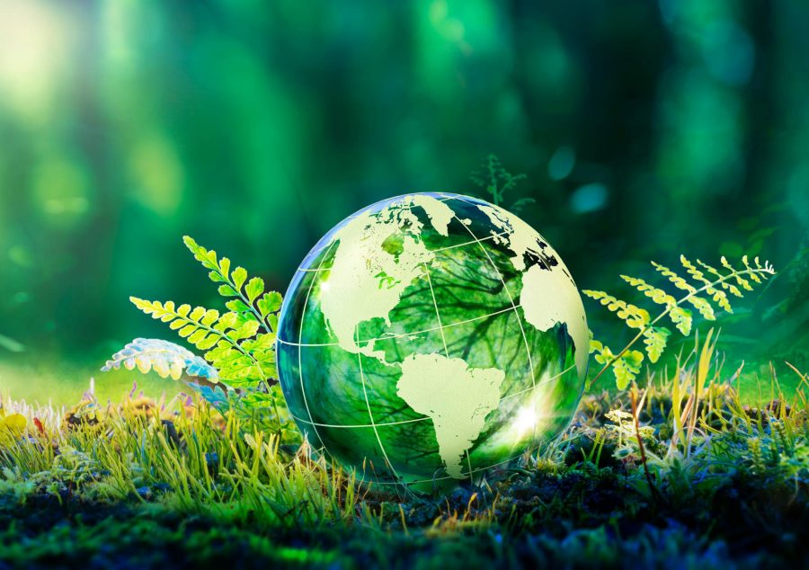 Doctorando UCM: “Nunca pensé que en el primer semestre pudiera adquirir tantas herramientas”