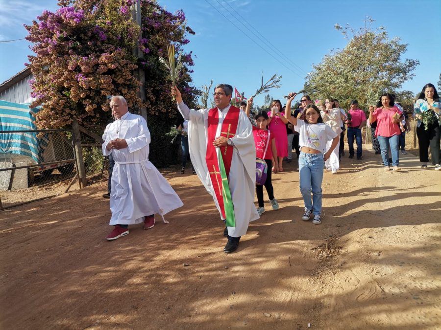 Celebración de Domingo de Ramos marca inicio de la Semana Santa