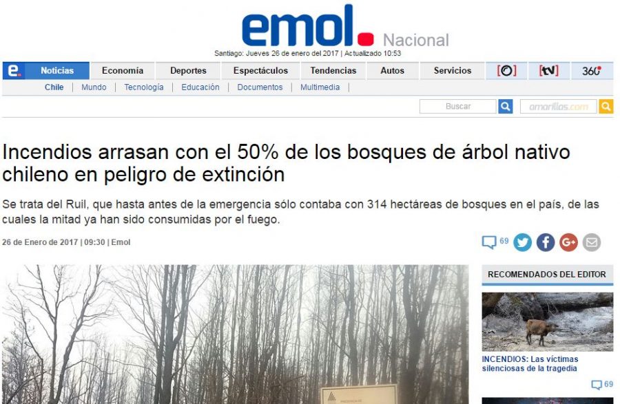 26 de enero de 2017 en EMOL: “Incendios han arrasado con el 50% de los bosques de árbol nativo chileno en peligro de extinción”