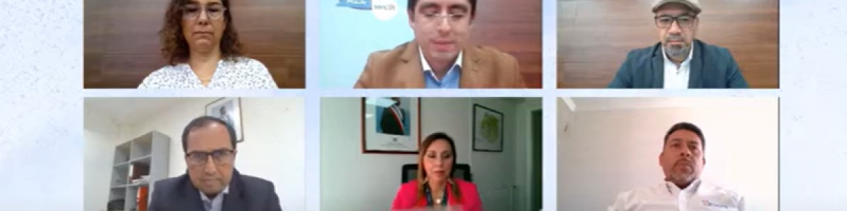 En plena pandemia mayoría de las microempresas maulinas lograron ganancias, pero no se capacitaron