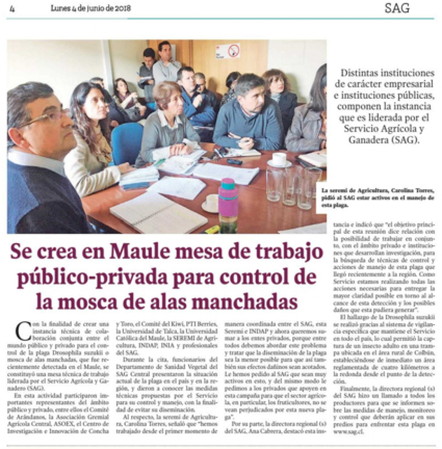 04 de junio en Diario El Centro: “Se crea en Maule mesa de trabajo público-privada para control de la mosca de alas manchadas”