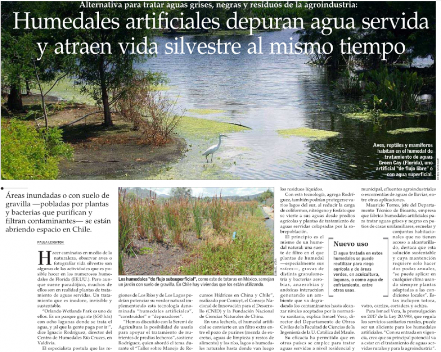 06 de julio en Diario El Mercurio: “Humedales artificiales depuran agua servida y atraen vida silvestre al mismo tiempo”