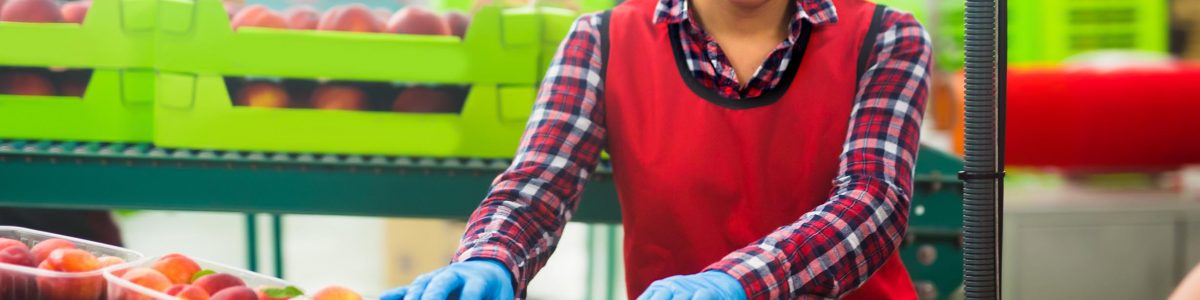 Después de varios meses al alza, cae levemente el número de ocupados en el Maule