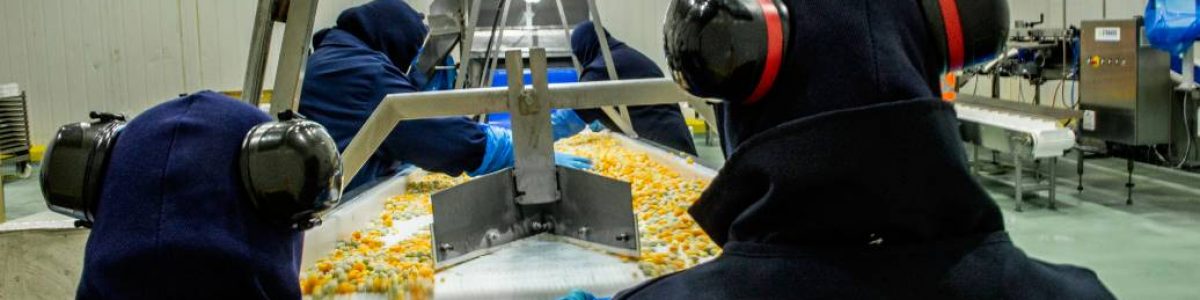 El desafío de la estacionalidad para el empleo maulino