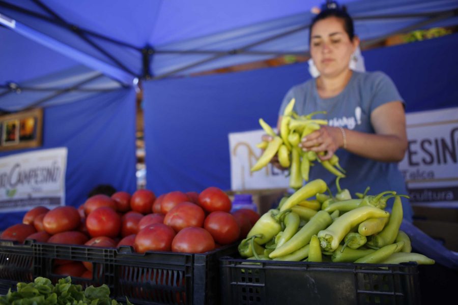 Ocupación sigue bajando y mujeres son las más desempleadas en el Maule