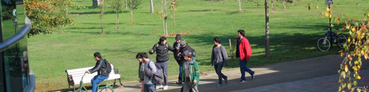 Entregan consejos para estar en alerta frente al bullying