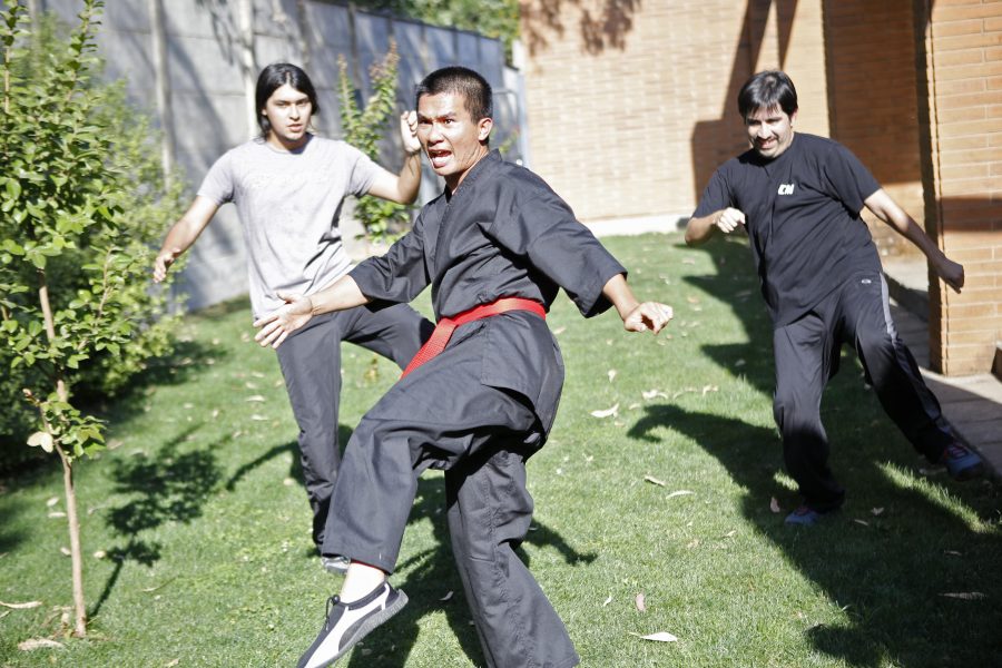 Desde artes marciales hasta astronomía: Exitosa escuela de verano al servicio de la comunidad
