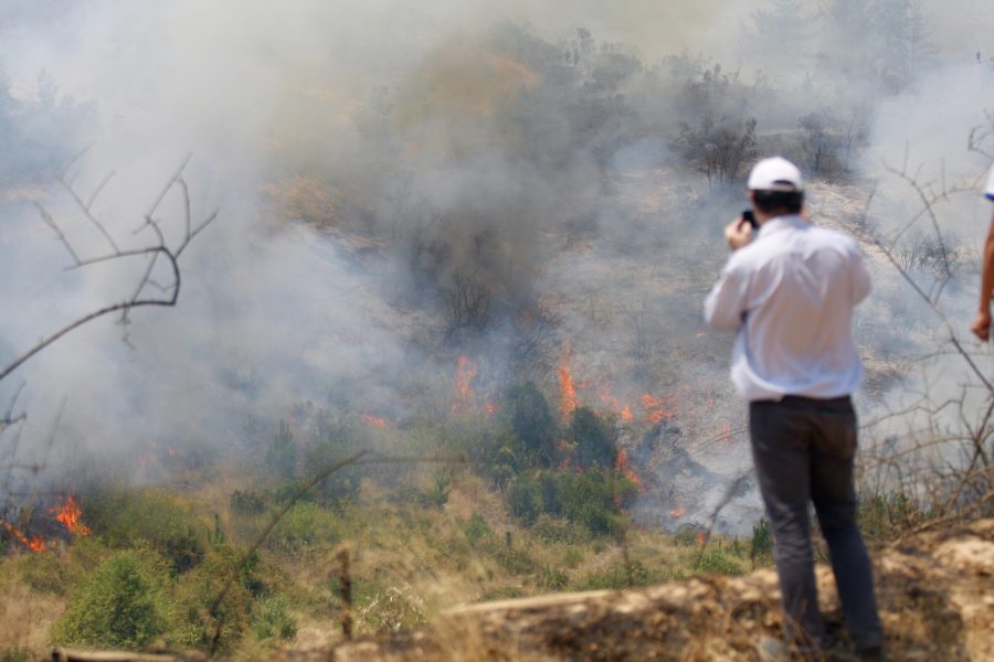 Experta llama a autoridades municipales a “asumir su responsabilidad” en prevención de incendios forestales