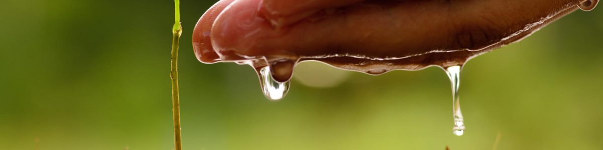 Juan Pablo Hernández asume como vicepresidente del Consejo Ciudadano del Agua para Curicó